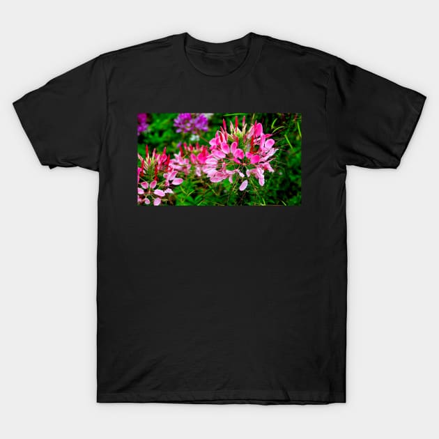 Vietnam - fleur sur le plateau de Ha Giang T-Shirt by franck380